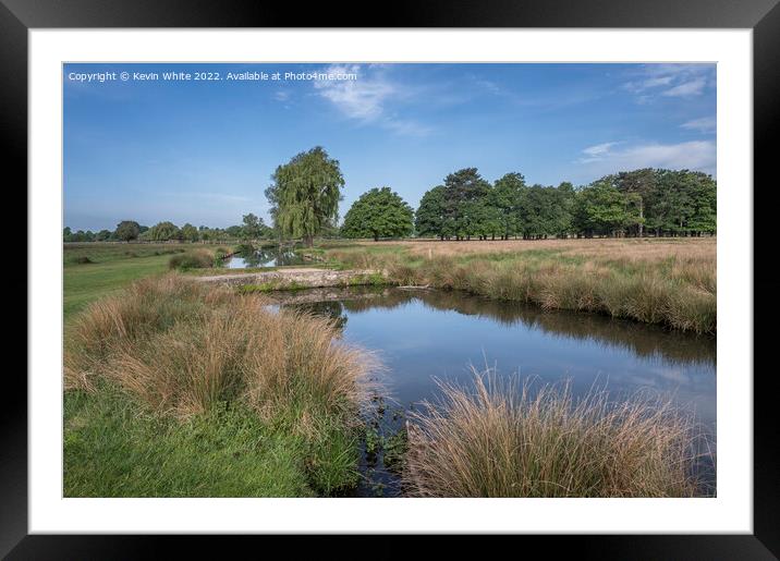 Calm waters at Bushy Park Surrey Framed Mounted Print by Kevin White