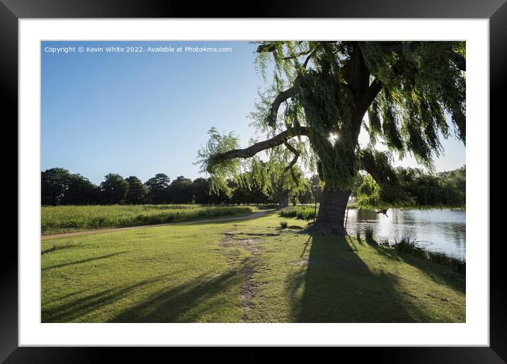 Shadows from the willow tree Framed Mounted Print by Kevin White