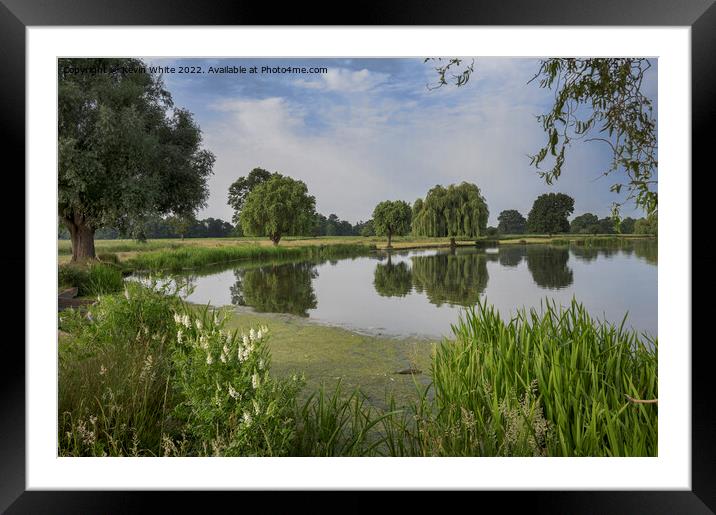 Heron pond on a mid summers day Framed Mounted Print by Kevin White