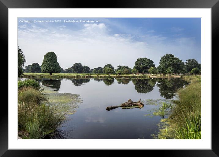Boat pond near carpark Bushy Park Framed Mounted Print by Kevin White