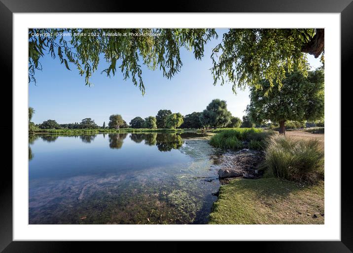Heron pond under willow tree Framed Mounted Print by Kevin White