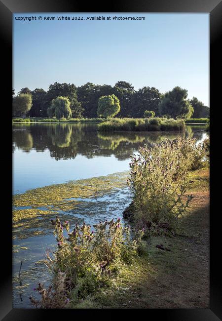 Heat of summer in Bushy Park Framed Print by Kevin White