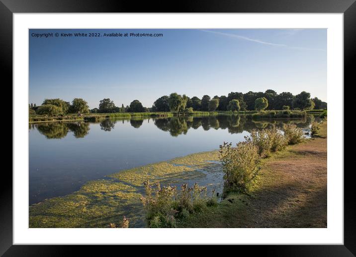 Hot Summers day in  Bushy Park Framed Mounted Print by Kevin White