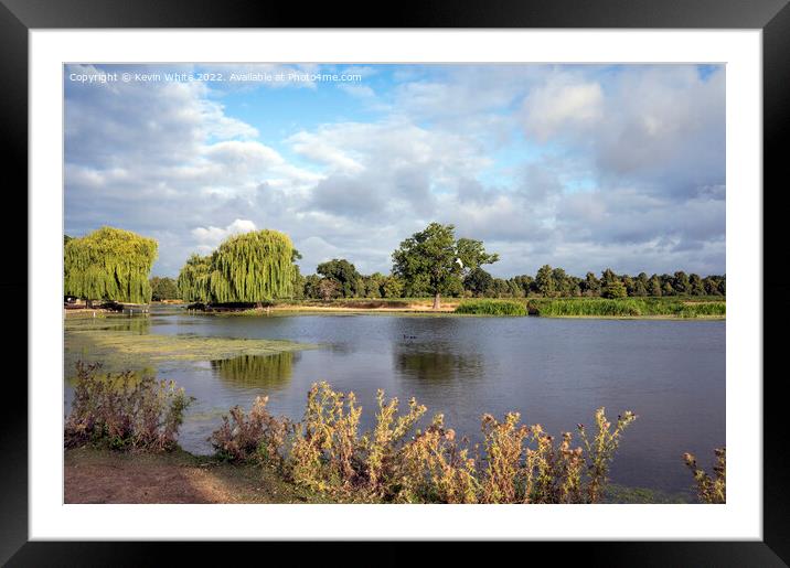 July morning sun at Bushy Park ponds Framed Mounted Print by Kevin White