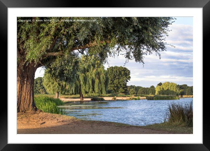 first thing at Bushy Park ponds Framed Mounted Print by Kevin White