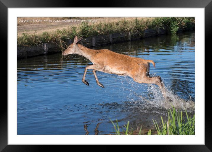 Leap of faith Framed Mounted Print by Kevin White
