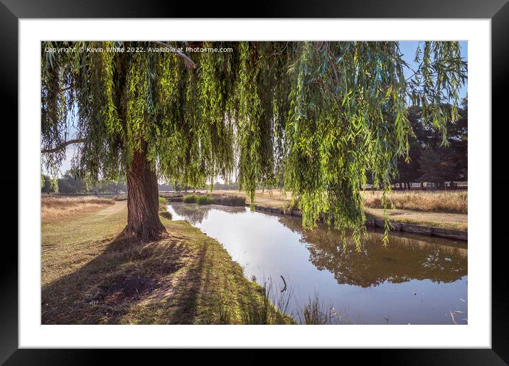 Willow tree long shadows Framed Mounted Print by Kevin White