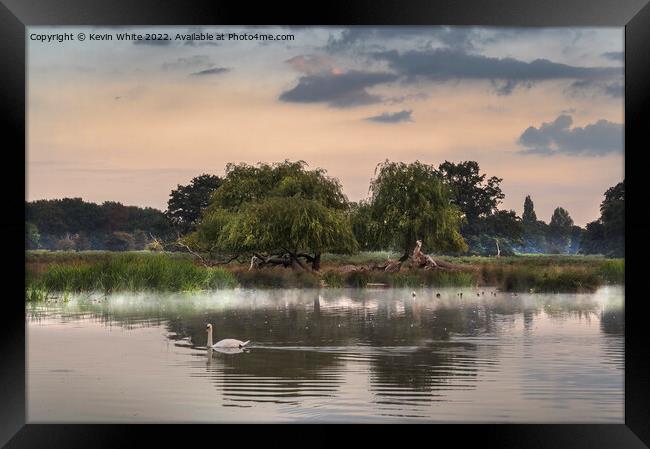 Dawn wildlife at ponds in Bushy Park Framed Print by Kevin White