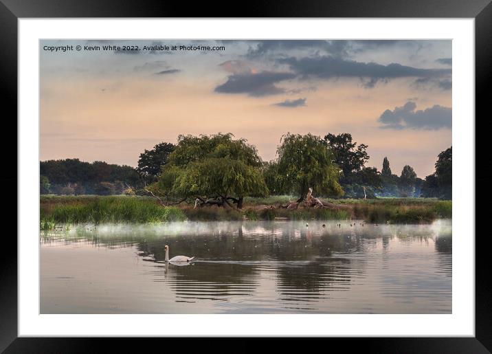 Dawn wildlife at ponds in Bushy Park Framed Mounted Print by Kevin White