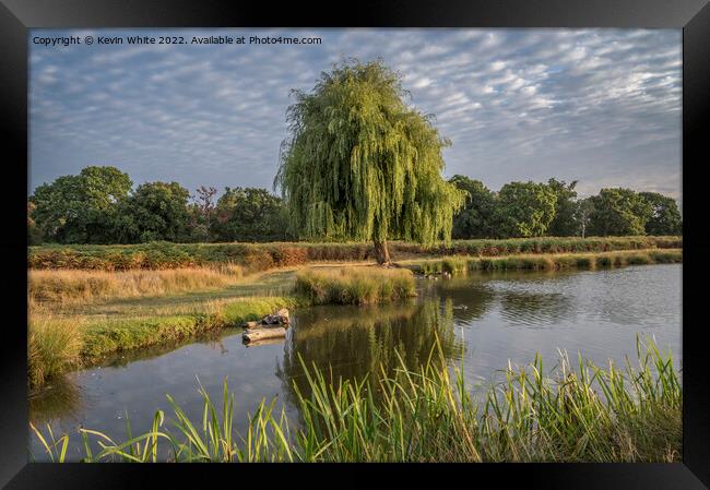 Bright August sunny morning at Bushy Park Framed Print by Kevin White