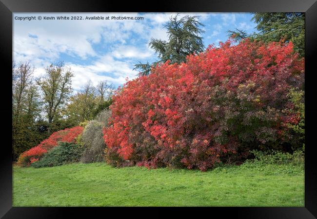 The beauty of autumn colours Framed Print by Kevin White