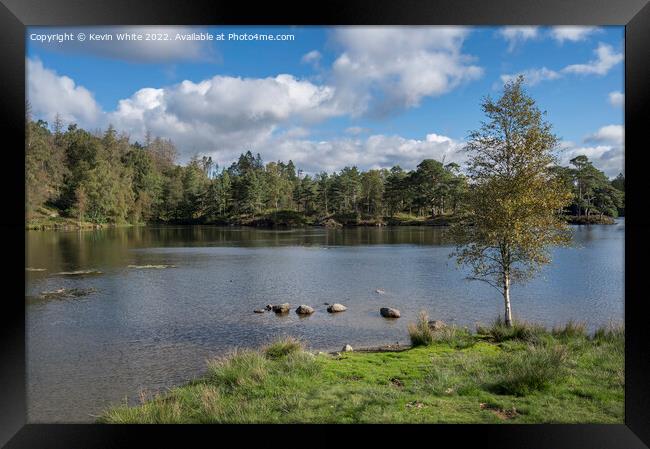 Tarn Hows view from near car park Framed Print by Kevin White