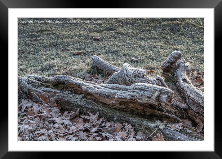 Cold as ice Framed Mounted Print by Kevin White