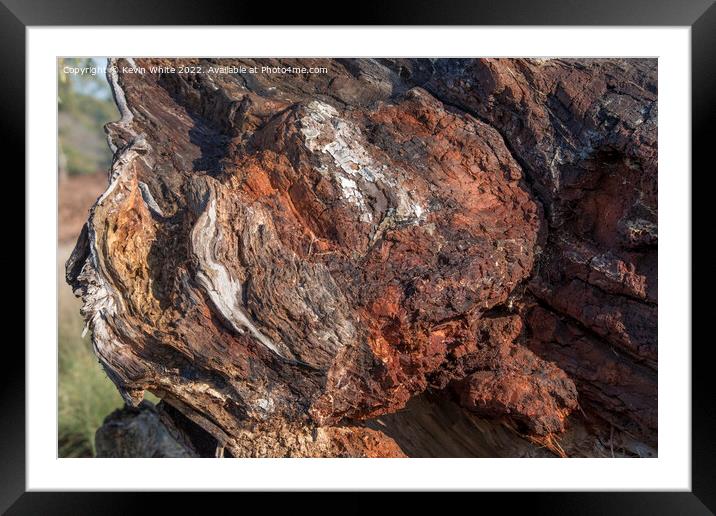 Natures work of art Framed Mounted Print by Kevin White