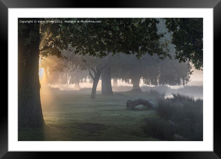 Mist of dreams Framed Mounted Print by Kevin White