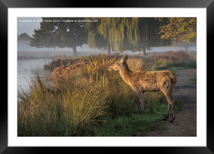 How do I cross the pond Framed Mounted Print by Kevin White