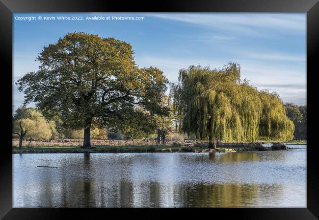 View across Heron pond Bushy Park Framed Print by Kevin White