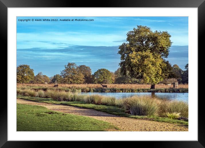Warm days in November Framed Mounted Print by Kevin White