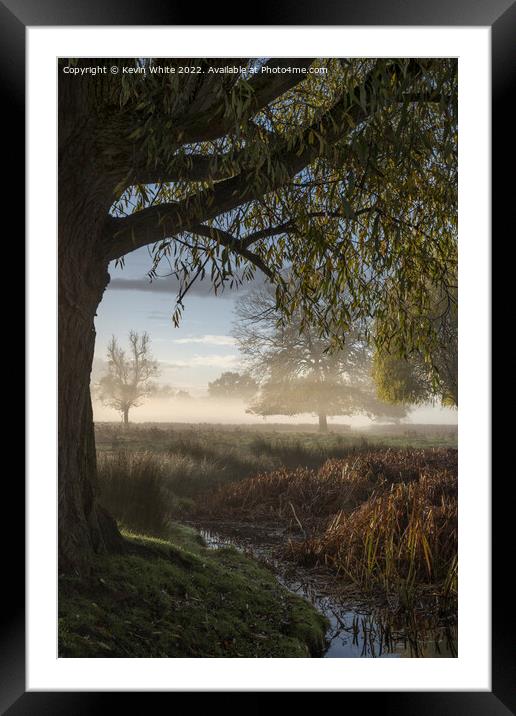 Under the tree at dawn Framed Mounted Print by Kevin White