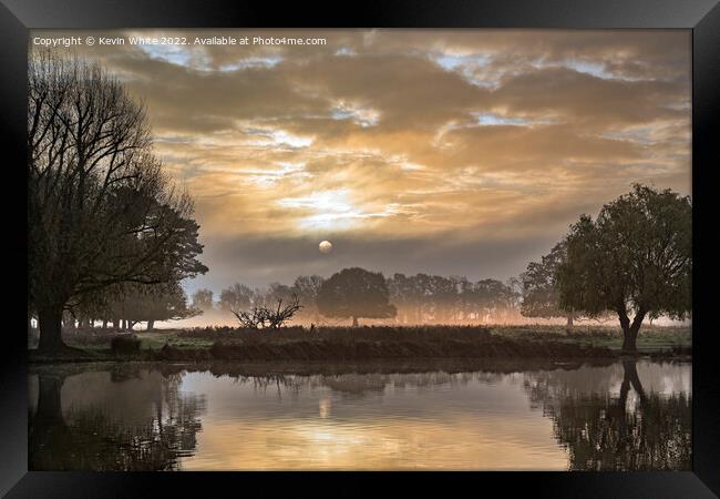 Bushy park golden December sunrise Framed Print by Kevin White