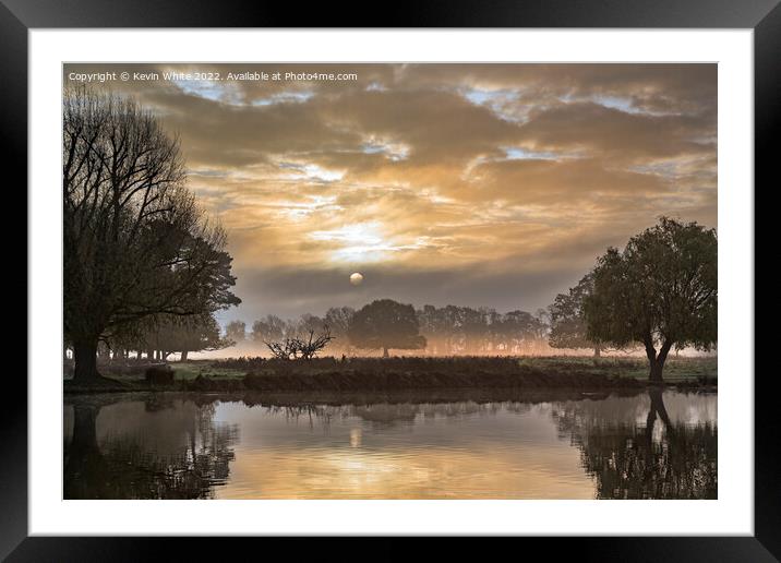 Bushy park golden December sunrise Framed Mounted Print by Kevin White