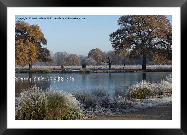 Standing on thin ice Framed Mounted Print by Kevin White