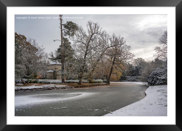 Mid winter colour at Claremont Gardens Framed Mounted Print by Kevin White