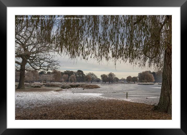 Christmas time at Bushy Park Framed Mounted Print by Kevin White