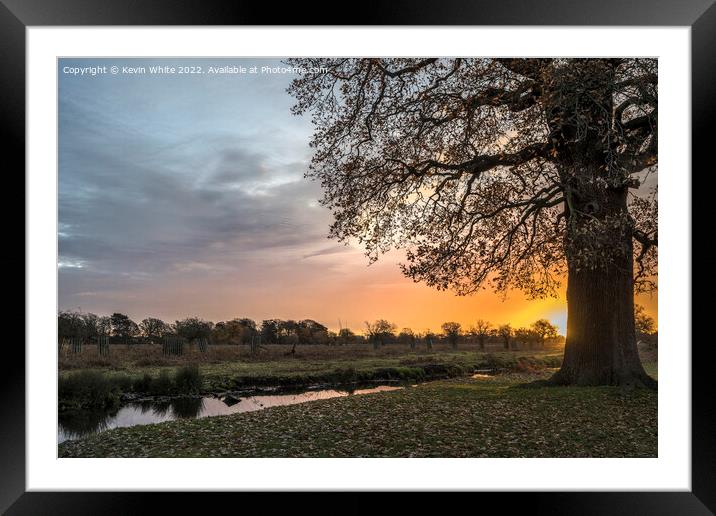 Magnificent winter sunrise Framed Mounted Print by Kevin White