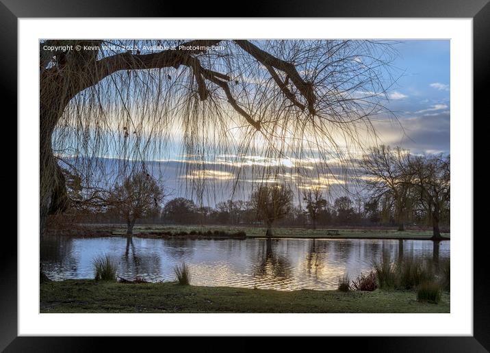 Sunrise in early January at Bushy Park Framed Mounted Print by Kevin White