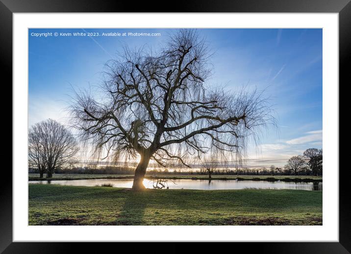 Spectacular January sunrise at Bushy Park Framed Mounted Print by Kevin White