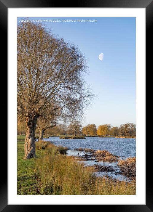 Half moon over Heron pond Bushy Park Framed Mounted Print by Kevin White