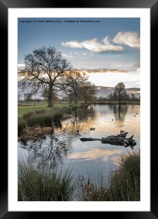 Mid winter sunrise at Bushy Park Englang Framed Mounted Print by Kevin White