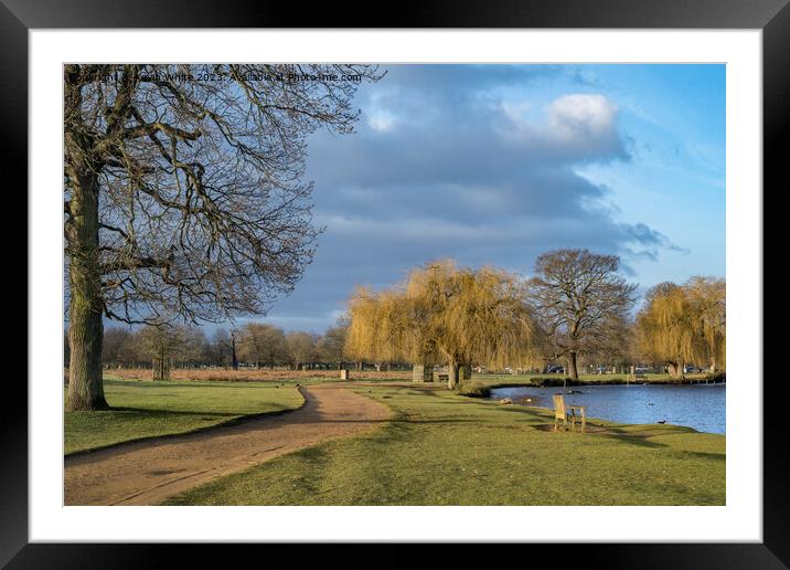 February dawn at Bushy Park ponds Framed Mounted Print by Kevin White