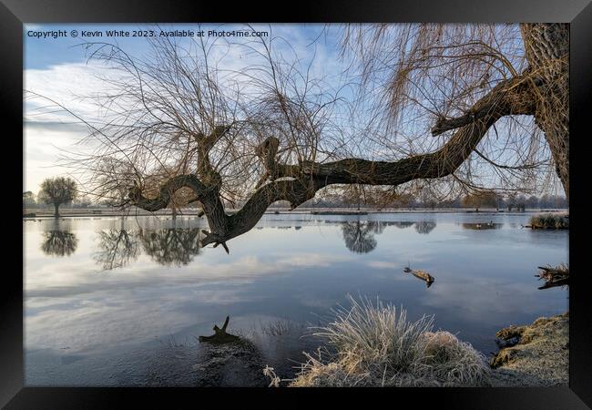 Old Weeping Willow tree branch reaching out over pond Framed Print by Kevin White