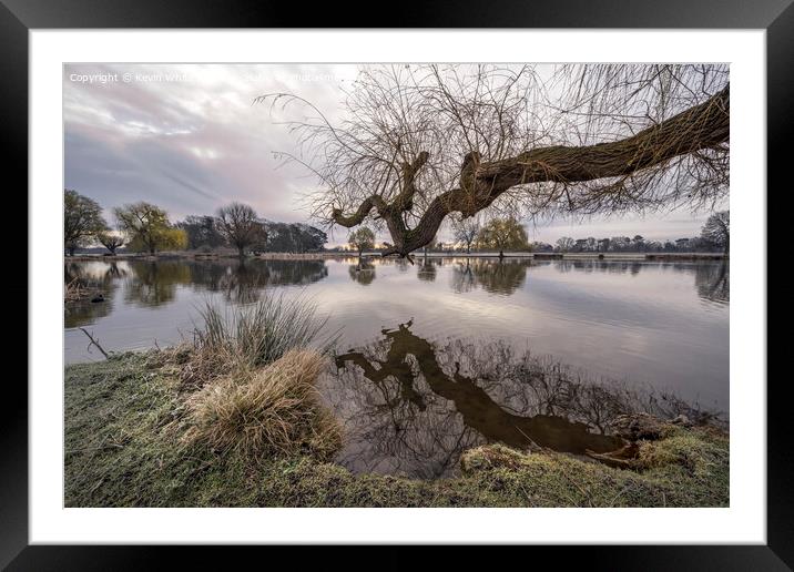 Large tree branch reaching out across the pond Framed Mounted Print by Kevin White