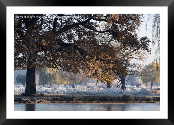 Morning frost mist and sunshine in December Framed Mounted Print by Kevin White