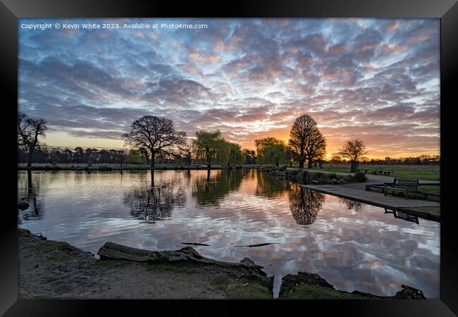 Perfect golden hour at Bushy Park Framed Print by Kevin White