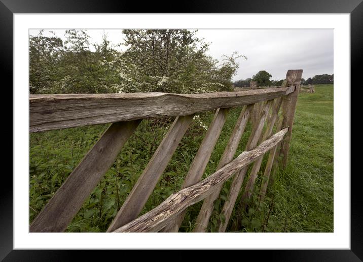 Old rotting rustic fence Framed Mounted Print by Kevin White