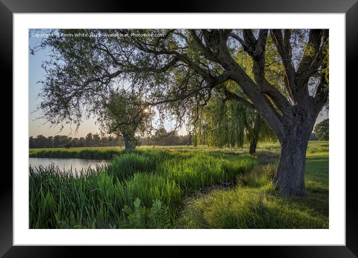 Hour before sunset at Bushy Park ponds Framed Mounted Print by Kevin White
