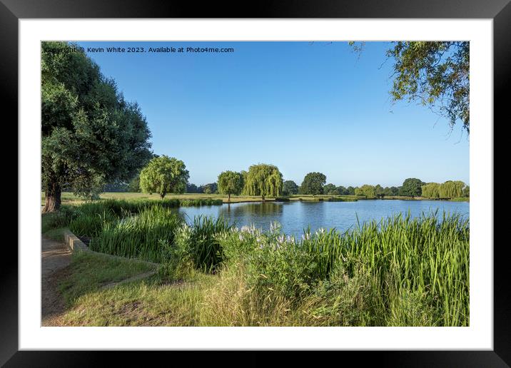 Clear blue skies at Bushy Park Surrey Framed Mounted Print by Kevin White