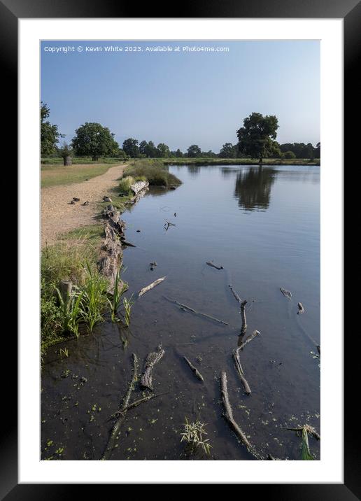 Low water level at Bushy Park Framed Mounted Print by Kevin White