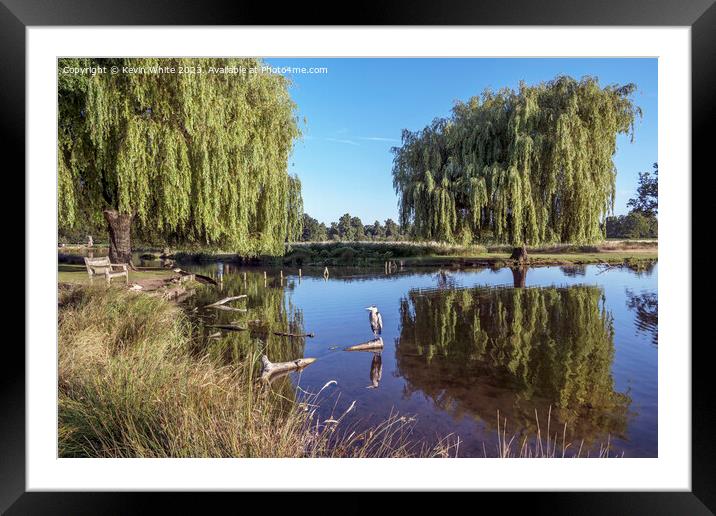 Living paradise in Surrey parks Framed Mounted Print by Kevin White