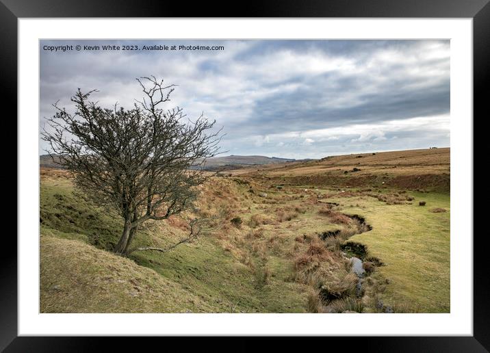 Surviving tree next to stream on Dartmoor Framed Mounted Print by Kevin White