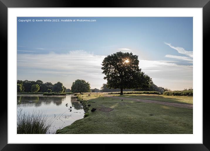 Bright July morning sun at Bushy Park  Framed Mounted Print by Kevin White