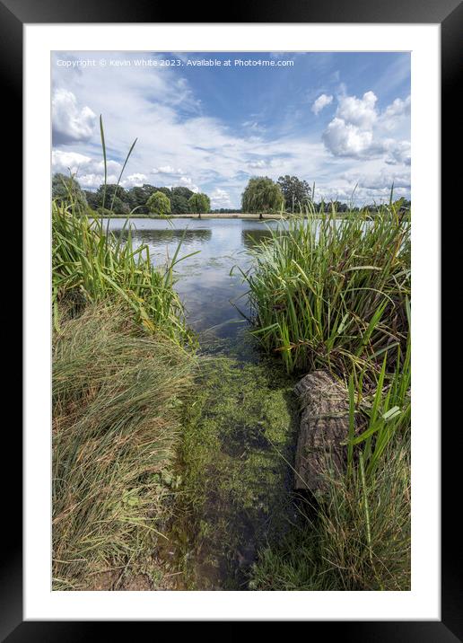 Start of green algae growing in the ponds Framed Mounted Print by Kevin White