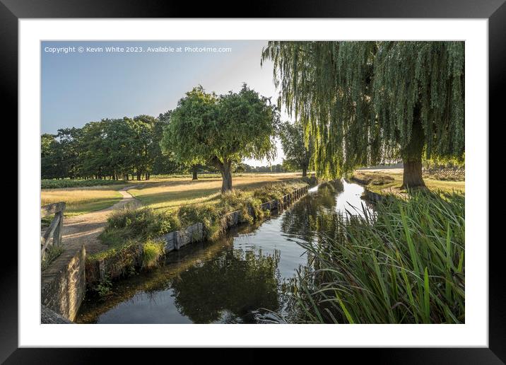 Bushy Park stream and August morning light Framed Mounted Print by Kevin White