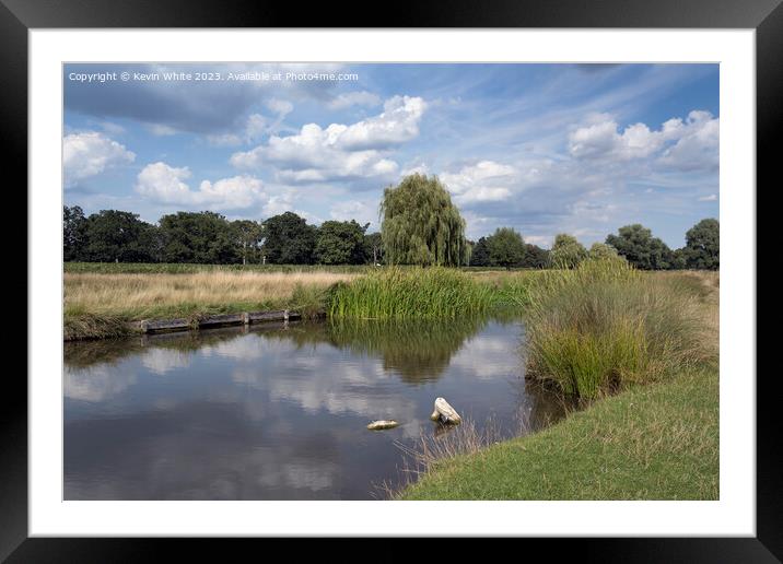 Bushy Park on a sunny afternoon in August Framed Mounted Print by Kevin White