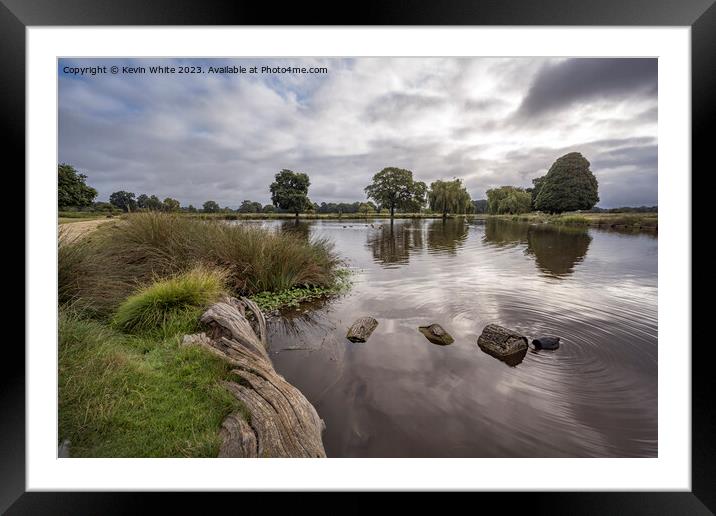 Bushy Park a magical place Framed Mounted Print by Kevin White