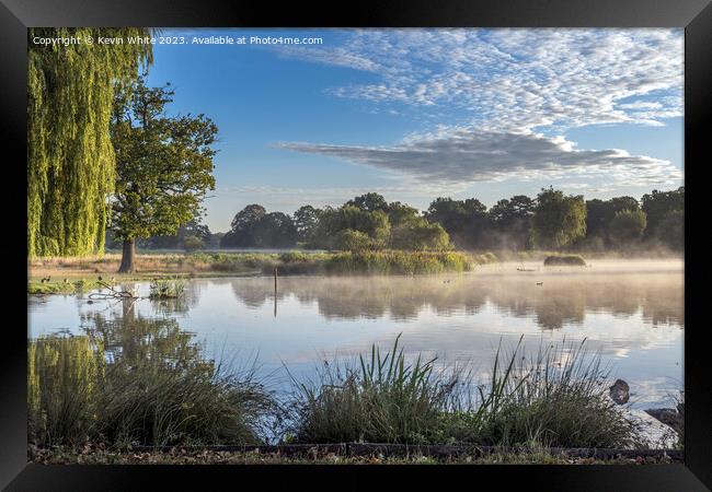 Bright misty sunny morning at Bushy Park ponds Framed Print by Kevin White